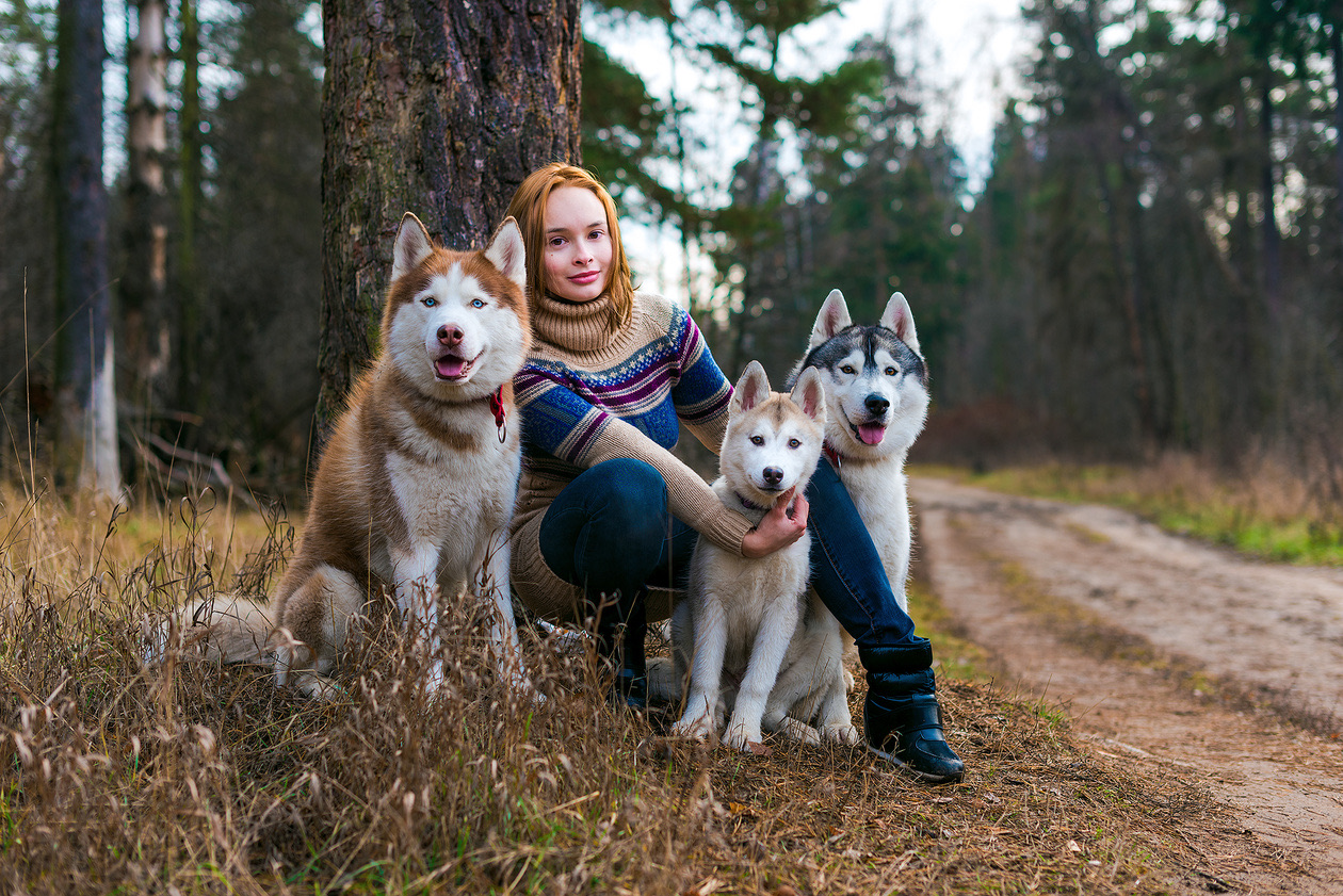 Young woman sitting under a tree on a forest track with three husky dogs