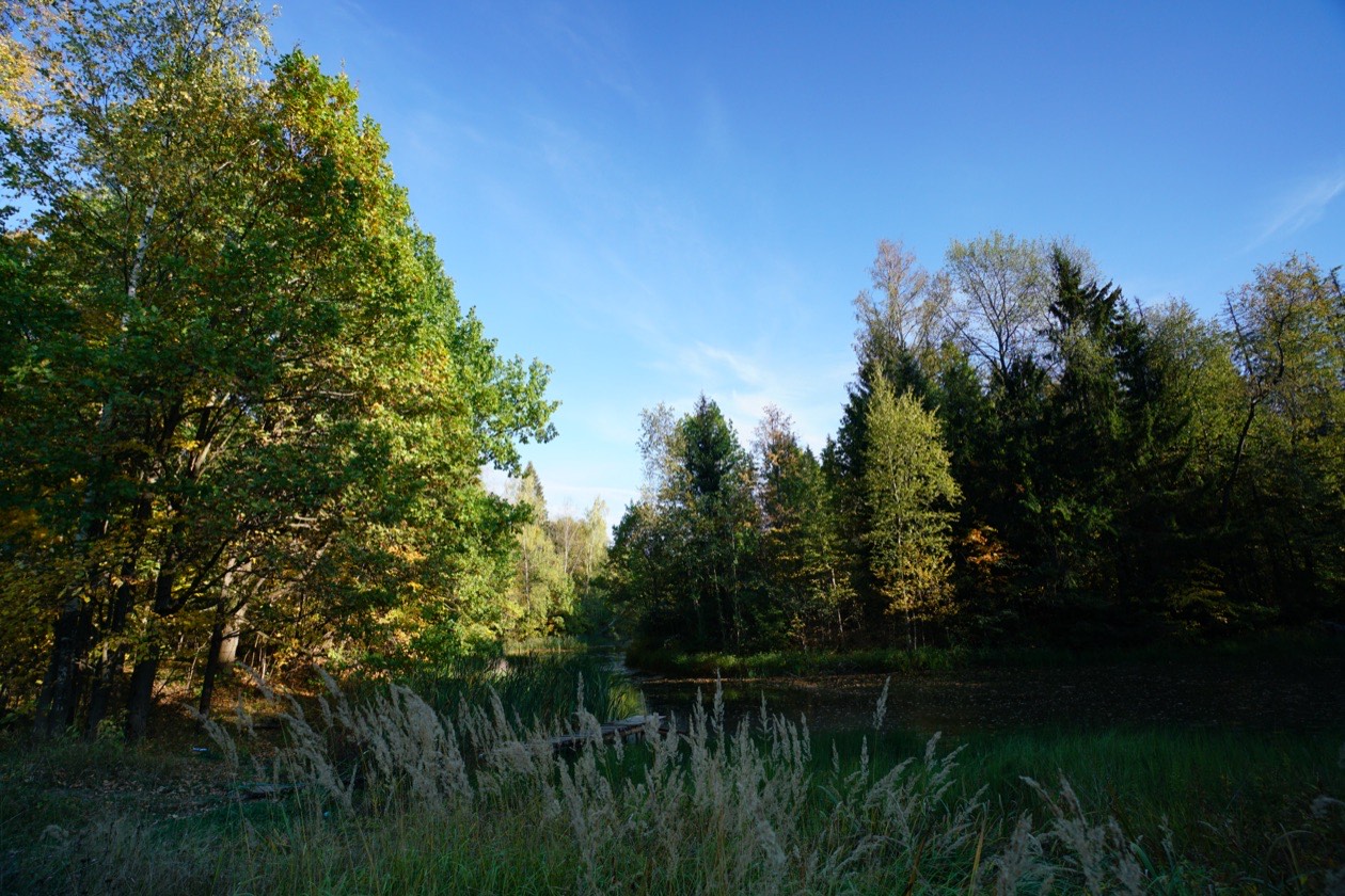 The same pond landscape with the sky darkened