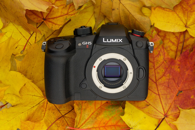 Panasonic Lumix GH5 II body on autumn leaves with its Four Thirds sensor visible