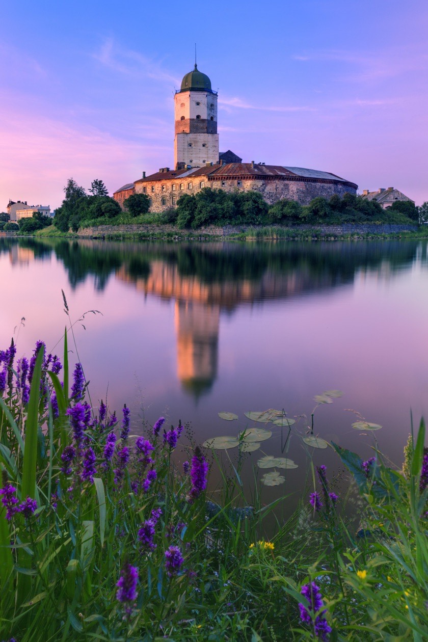 Castle tower reflected in a lake at dawn with purple flowers in the foreground