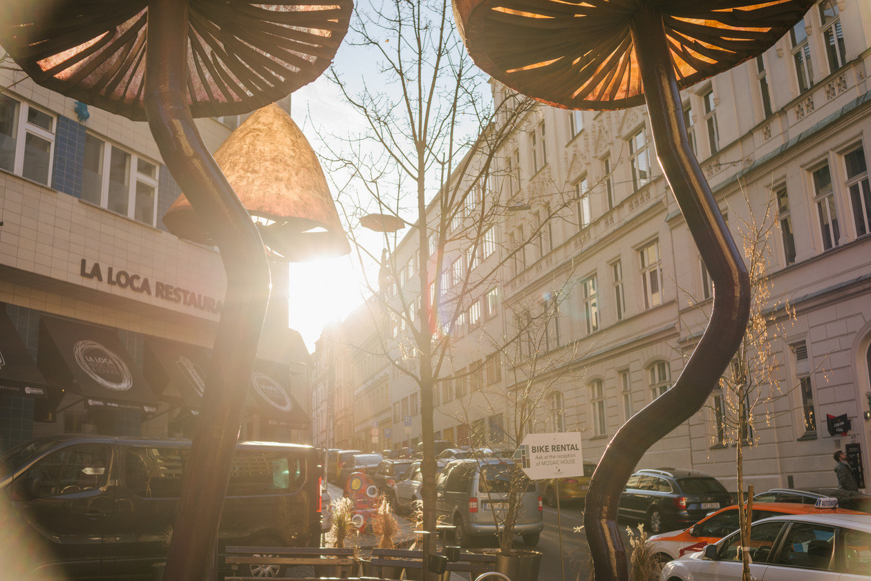 City street shot into the sun with strong flare