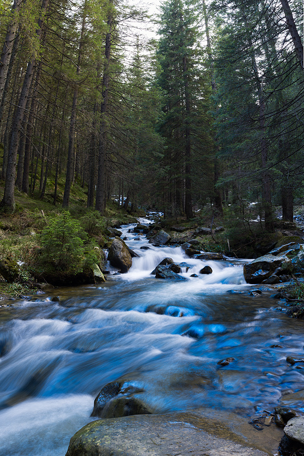 Mountain stream in a forest with the water blurred into soft streaks