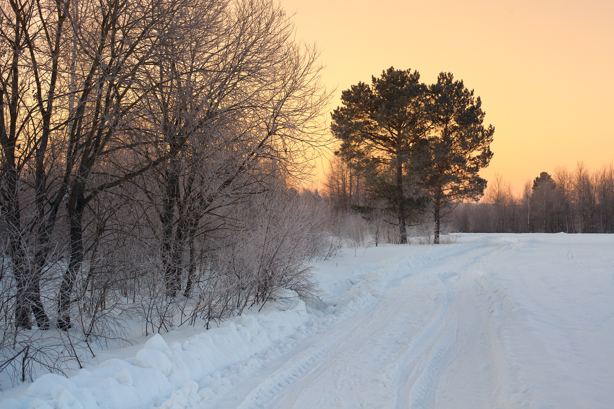 Snowy country road between frosted trees under an orange sunrise sky