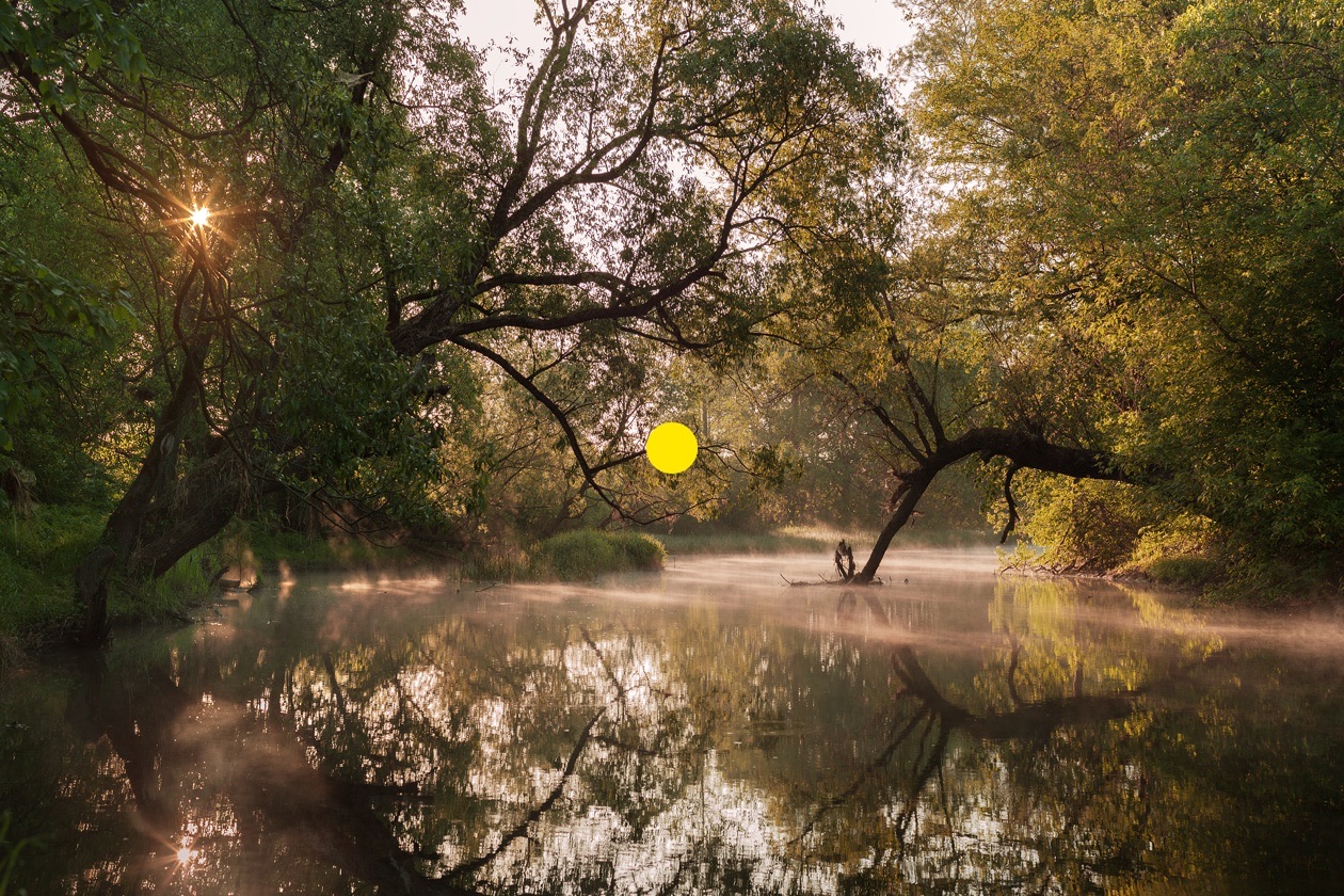 The misty river scene with a small yellow dot marking the spot metering area