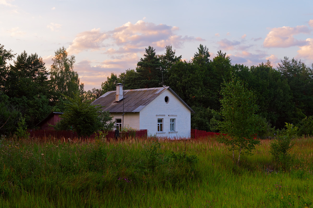 White country house in a meadow with a pine forest behind, correctly exposed