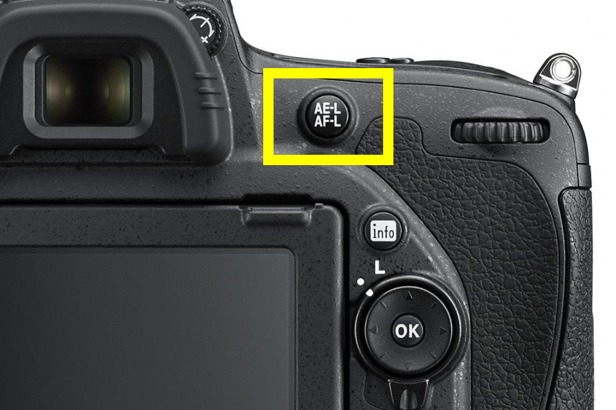 Rear of a Nikon DSLR with the AE-L/AF-L button highlighted in a yellow frame