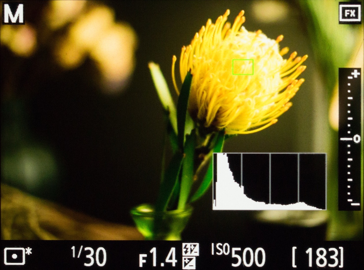 Live view screen of a yellow flower with a histogram overlaid in the lower right corner