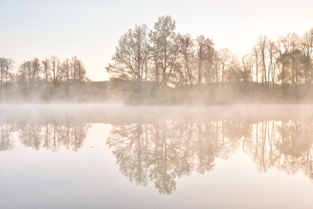 Overexposed photo of trees reflected in a misty lake, washed out to near white