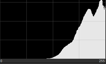 Histogram of the washed-out lake photo piled up against the right edge