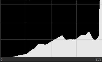 Histogram with a tall narrow peak stuck to the right border