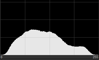 Hill-shaped histogram centered in the graph with edges near both borders