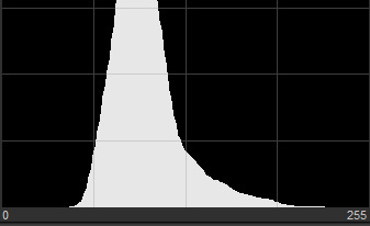 Narrow histogram peak in the left-center with empty space at both ends