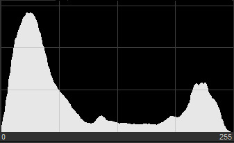 Histogram with a tall peak on the left and a smaller peak on the right