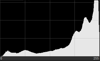 Histogram leaning to the right with its main mass near the right edge