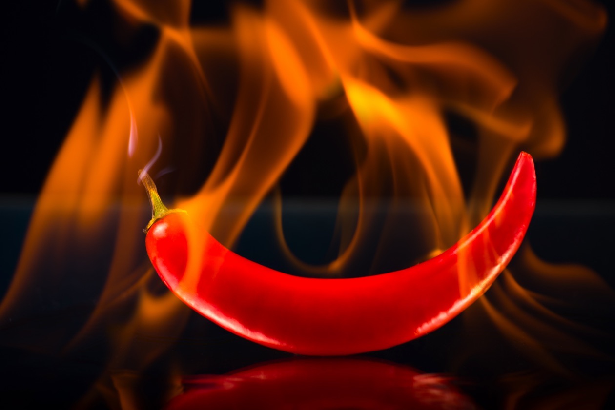 Red chili pepper wrapped in orange flames against a black background