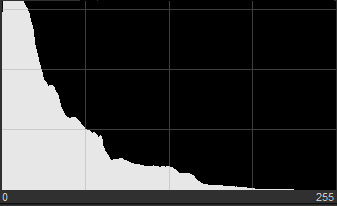 Histogram leaning to the left with its main mass near the left edge