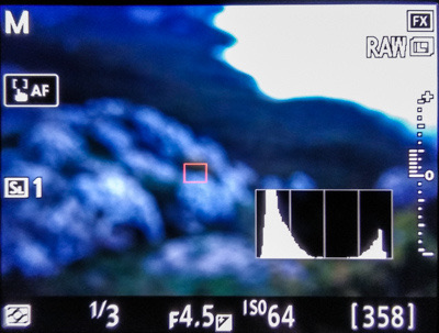 Mirrorless camera live view of a seaside rock with a small histogram overlay