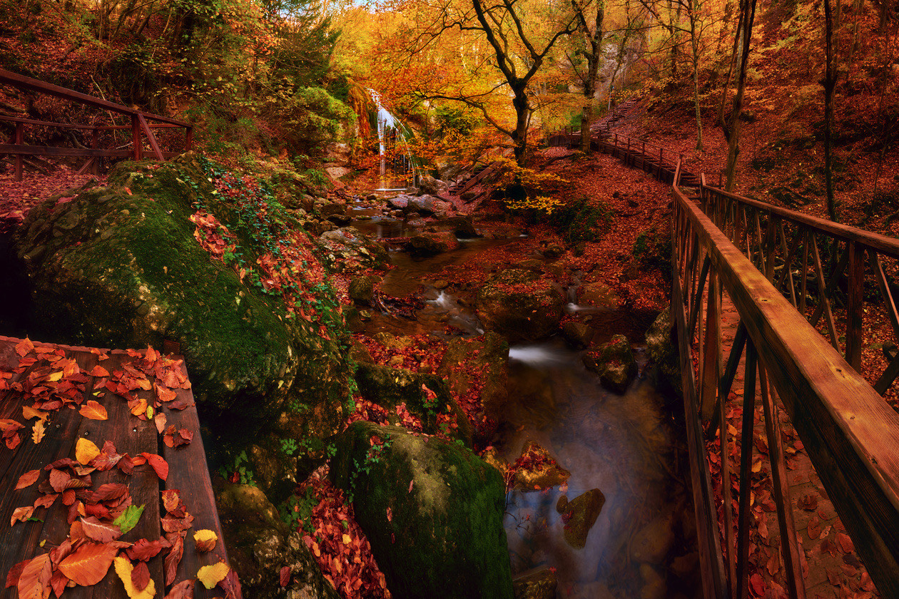 Autumn forest stream beside a wooden footbridge, the water blurred by a long exposure