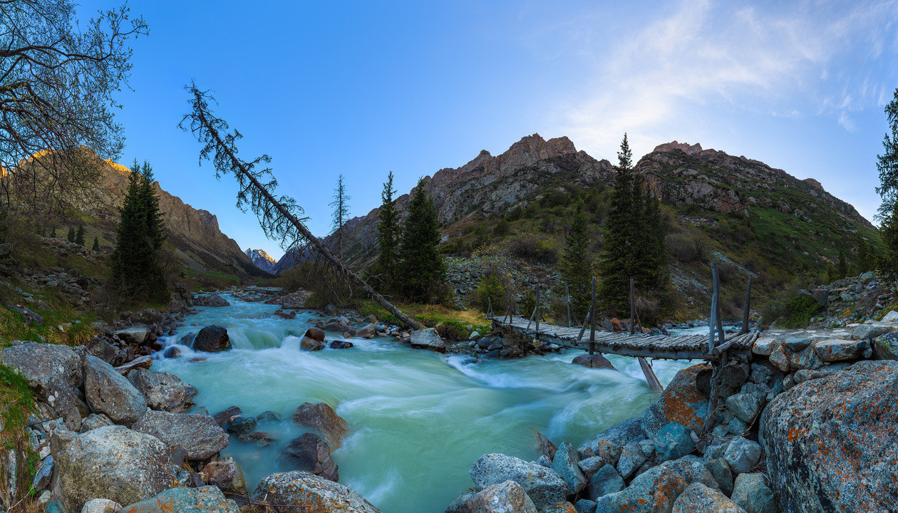 Wide view of a turquoise mountain river flowing between rocks and pine trees