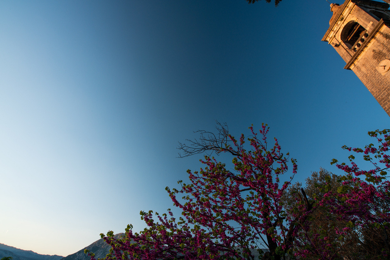 Wide-angle shot of a blue sky with a flowering tree and a bell tower, the sky darkened unevenly across the frame