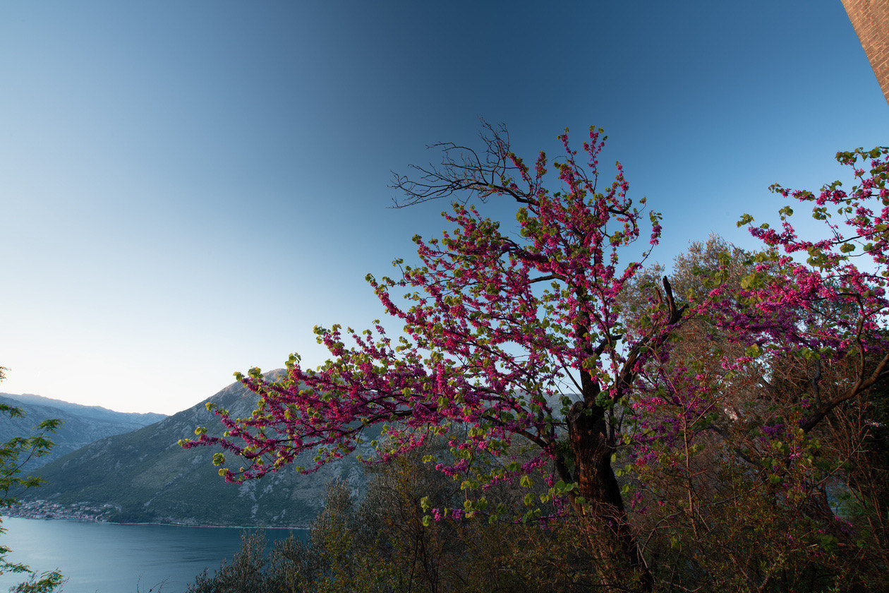 Ultra-wide landscape where the polarizer darkens the sky unevenly