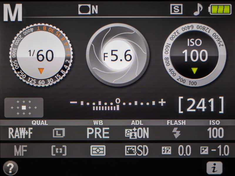 Camera information display in manual mode showing a shutter speed of 1/60 at F5.6 and ISO 100
