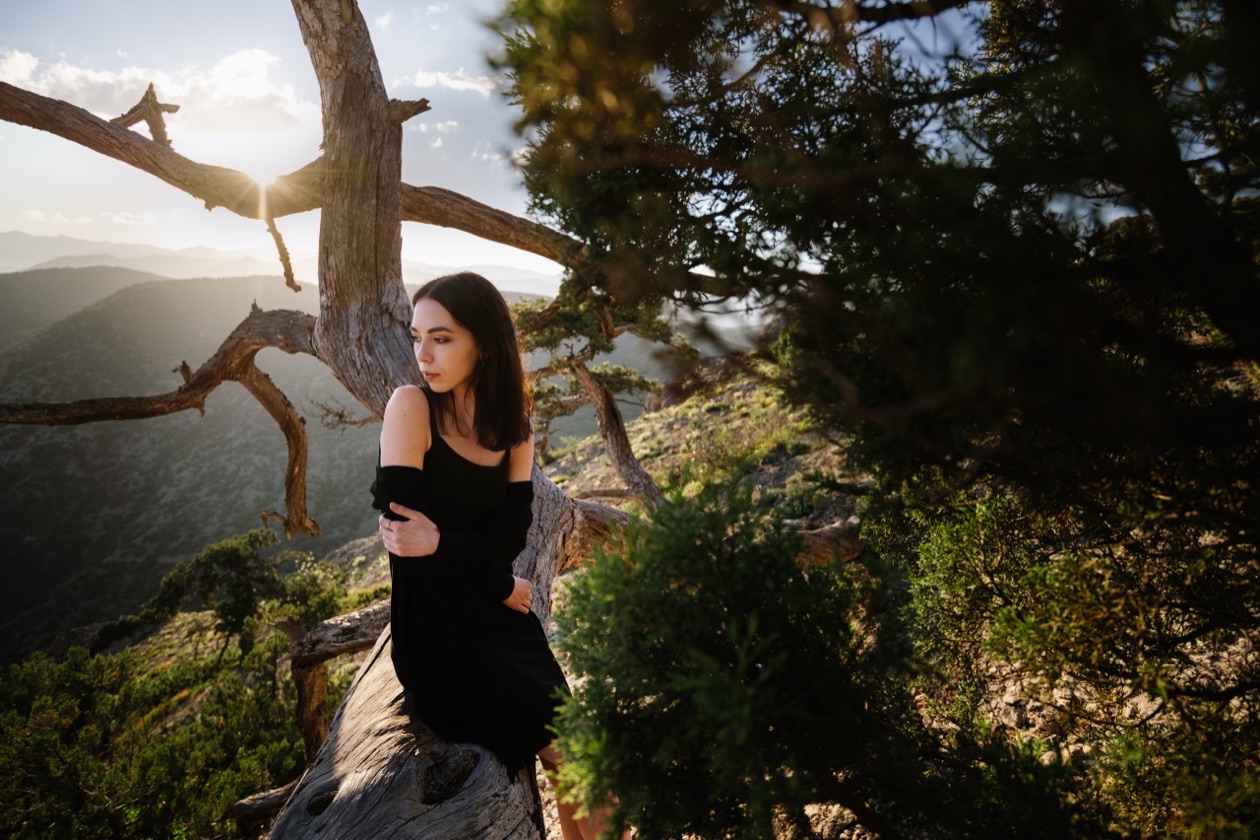 Woman in a black dress sitting in a pine tree on a sunlit hillside