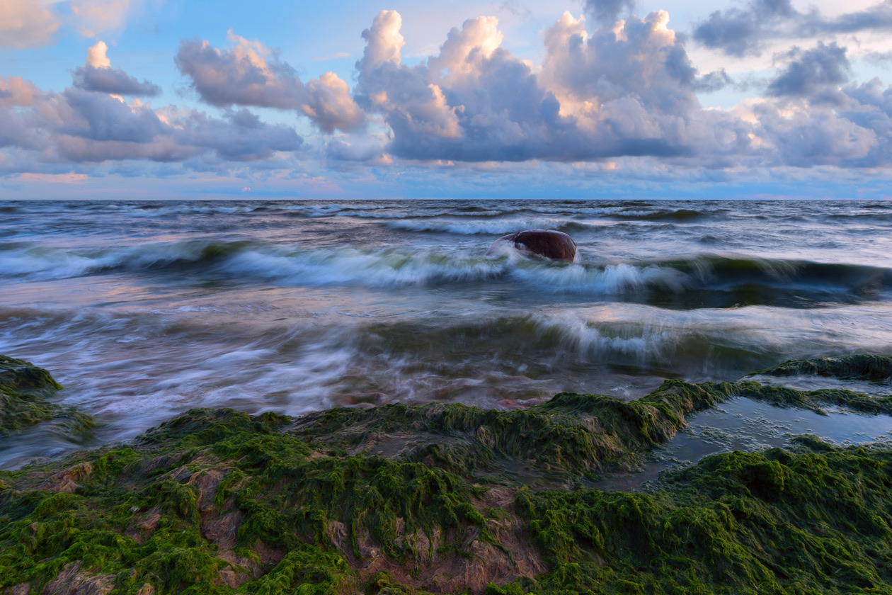 Sea waves washing over green weed-covered rocks under a cloudy sky, water softly blurred
