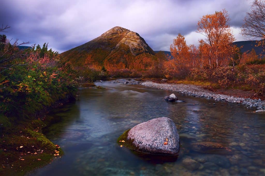 Landscape with polarizing filter