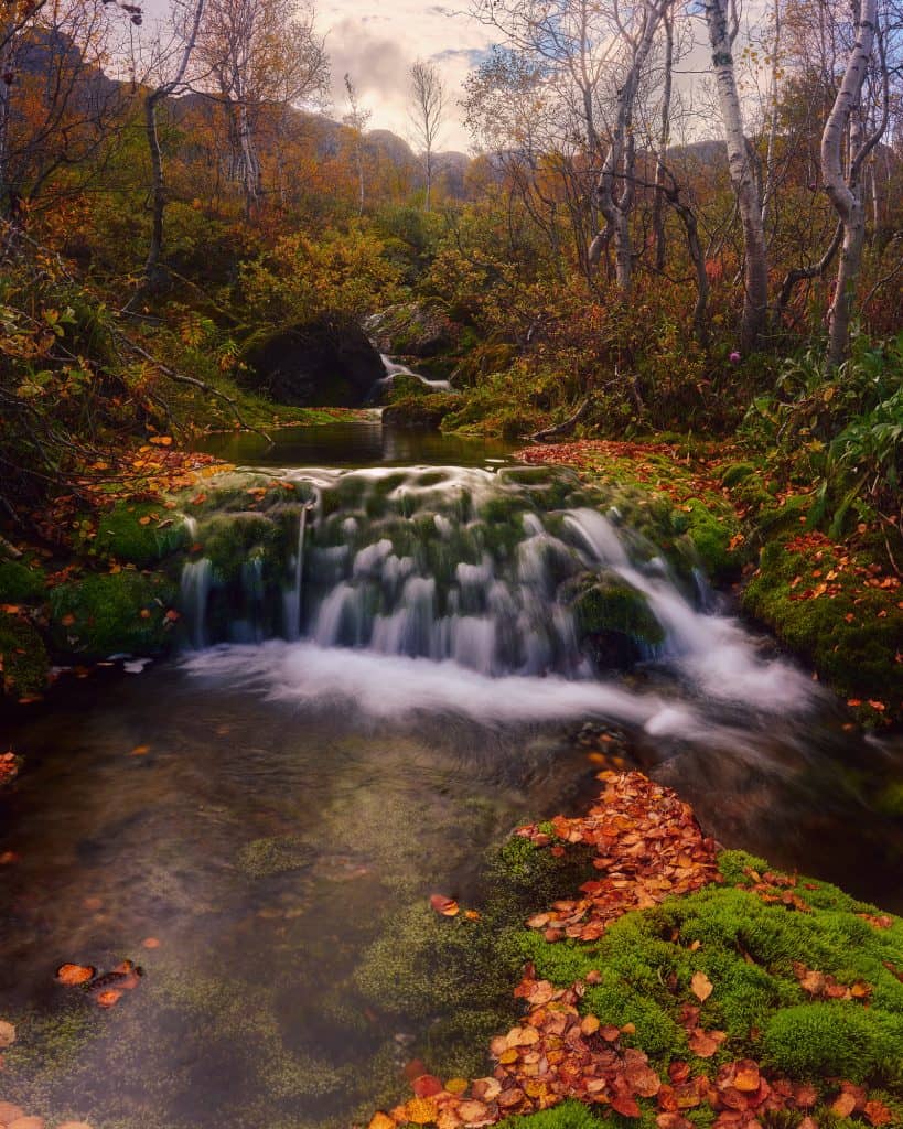 Landscape with polarizing filter